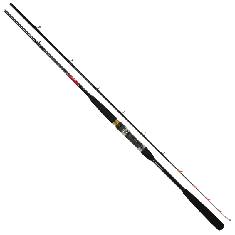 _C(Daiwa) AJc X M|210 Cނ