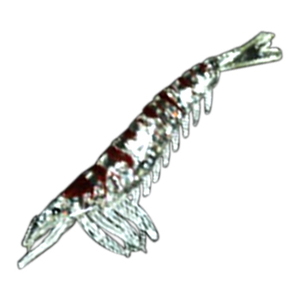 マルシン漁具(Marushin) イミテーションエビワーム  