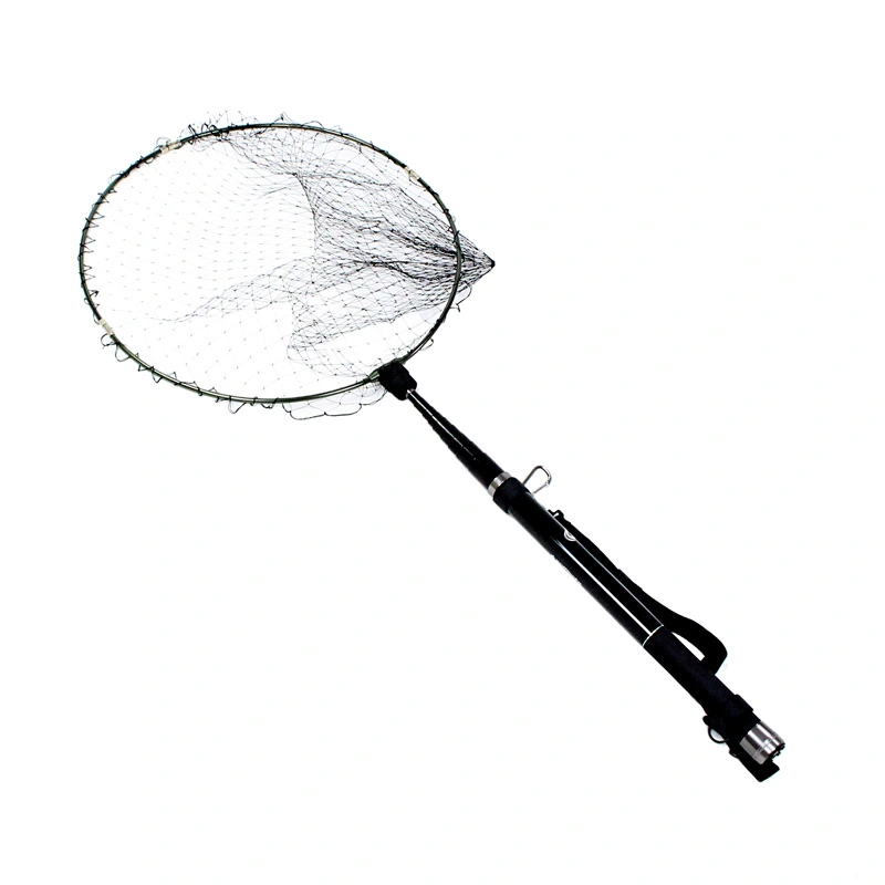 VFA[Y OXpʖSET GALEIIiQCc[j 60|410 tBbVOc[