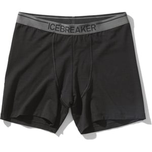icebreaker(アイスブレイカー) 【22春夏】アナトミカ ボクサー メンズ IU42000
