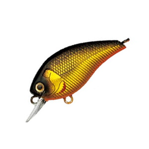 _C(Daiwa) XeB[Y@XNGA@POO