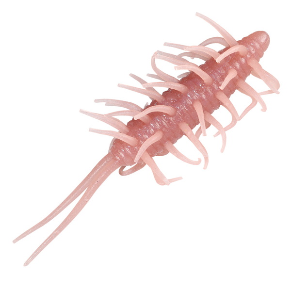 HIDEUP(ハイドアップ) コイケシュリンプ ビッグ   その他ワーム