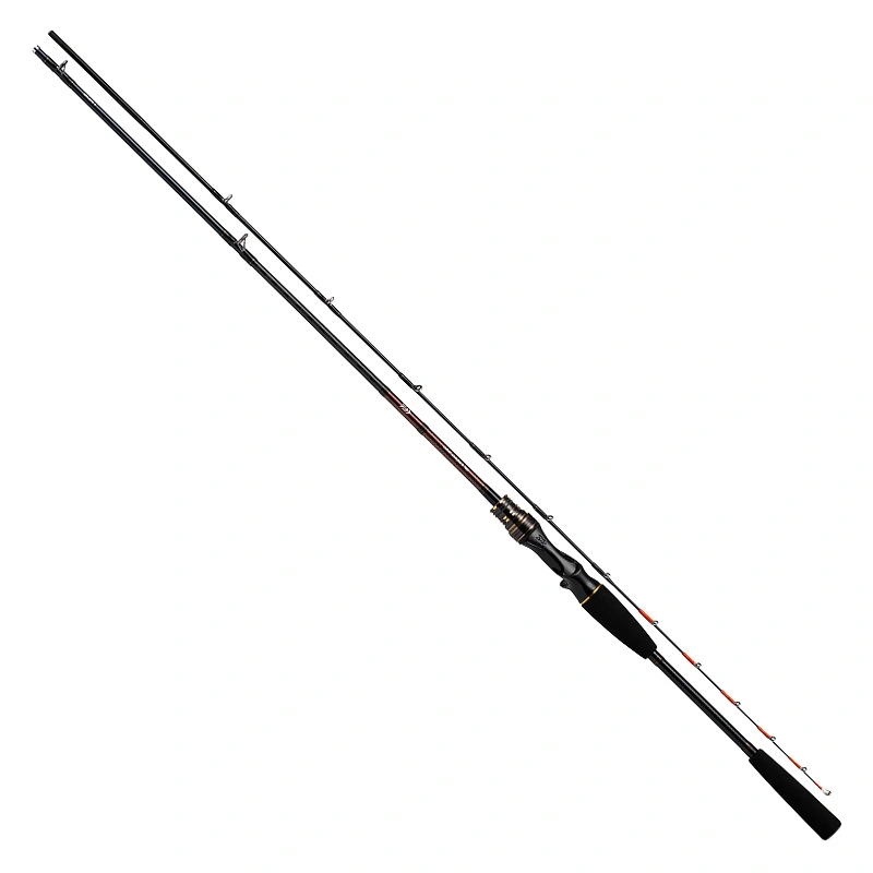 _C(Daiwa) CgA}_C X 190ER Cނ