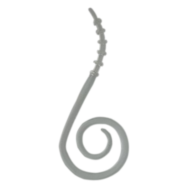 ソルトウォーターボーイズ(SALT WATER BOYS) マジカルワーム スリムカーリー   タイラバネクタイ･トレーラー