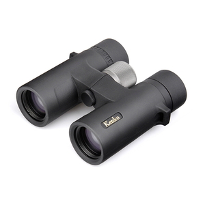 ケンコー 光学機器 Avantar 10×32 ED DH 双眼鏡 防水 EDレンズ ブラック