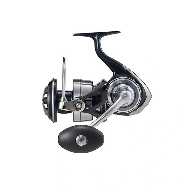 ダイワ(Daiwa) 21セルテート SW 8000-H 00065013 6000～8000番