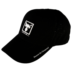 WbJ(JACKALL) XNGASLbv@^CvQ