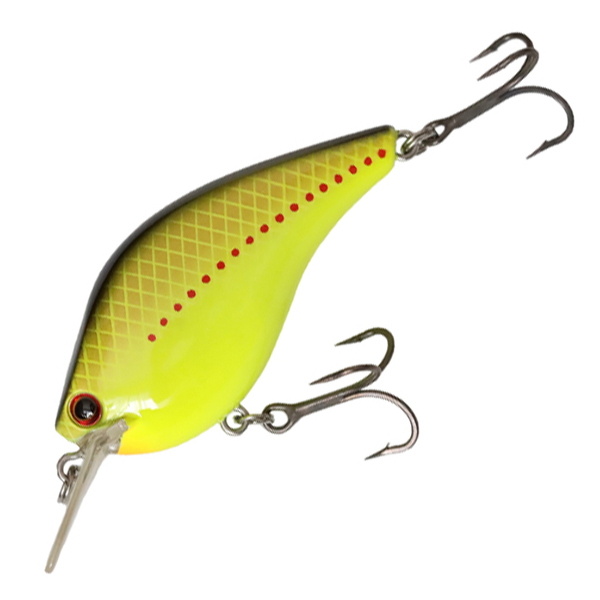 イチカワフィッシング(ichikawafishing) RC キングコングシャッド 10