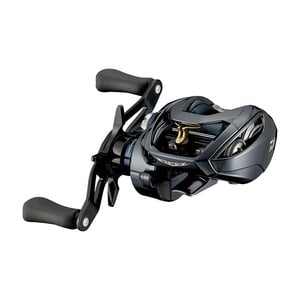 ダイワ(Daiwa) STEEZ A TW HLC 8.1R 右ハンドル 00630235|アウトドア