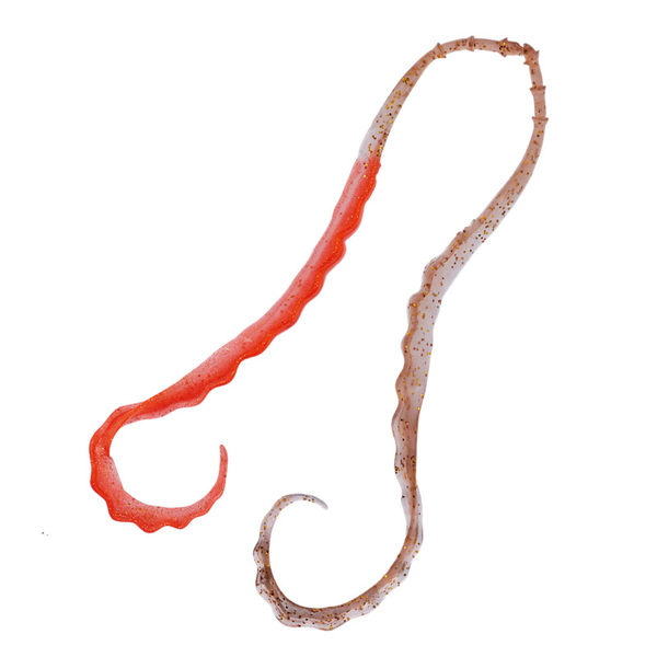 がまかつ(Gamakatsu) 桜幻 3D ソフトネクタイ 19315-27-0 タイラバネクタイ･トレーラー