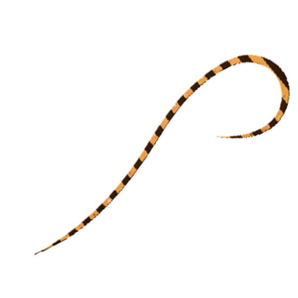 海遊(KAIYU) 海神 シリコンネクタイ ストレートカーリー   タイラバネクタイ･トレーラー