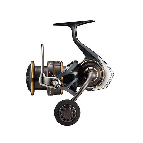 ダイワ(Daiwa) 22 CALDIA(カルディア) SW 6000S-H 00065051 6000～8000番