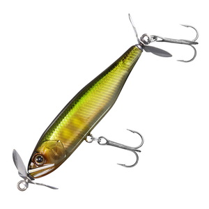 _C(Daiwa) XeB[Yvbv@VOr