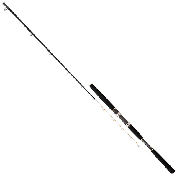 プロマリン(PRO MARINE) CB レジェンダー豪腕落し込み 230M(2ピーズ)   イカダ竿･落とし込み竿