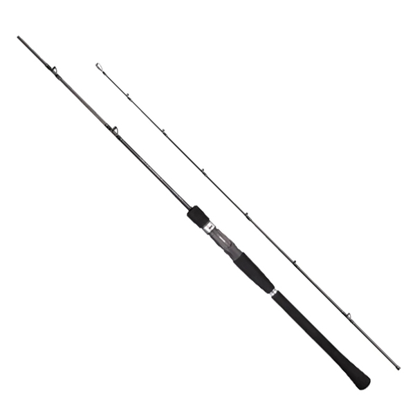 シマノ(SHIMANO) 19 ソルティアドバンス ジギング B60-3(ベイト・2