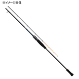 ダイワ(Daiwa) エメラルダス EX イカメタル N65ULS-SMT(スピニング･2ピース) 05803222 鉛スッテ用ロッド