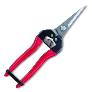 ARS(アルスコーポレーション) 摘果鋏ロング ステンレス 300L-DX-BP