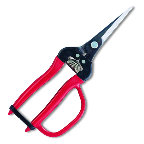 ARS(アルスコーポレーション) 摘果エキストラロングガード付 300LL-G-BP 剪定バサミ･刈り込みバリカン