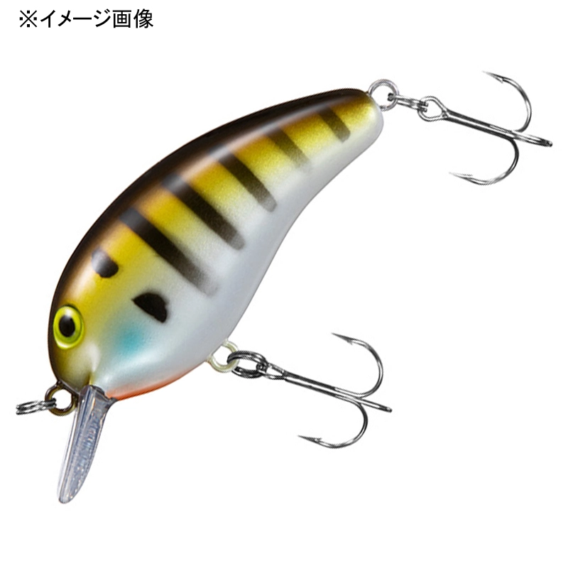 _C(Daiwa) s[ibc DDR A[