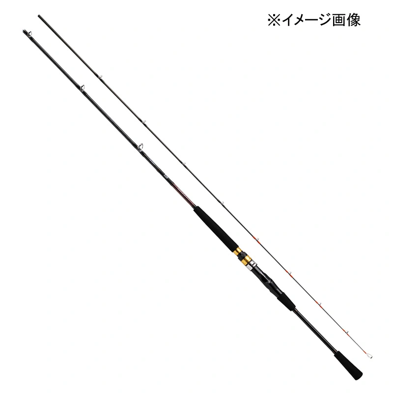 _C(Daiwa) V[tbNX64 30|300ENi3s[Xj Cނ