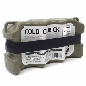 POST GENERAL(ポストジェネラル THE ICE ERA COLD ICE BRICK OLIVE