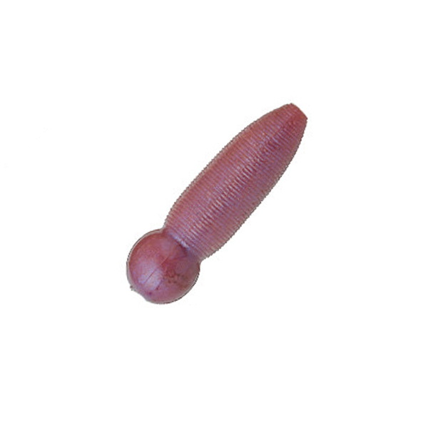 ビバ(Viva) ビバポテト   その他ワーム