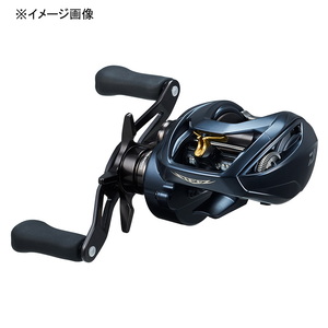 ダイワ(Daiwa) STEEZ AII TW 1000(スティーズA2TW) 右ハンドル 00613382