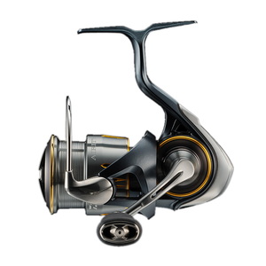 _C(Daiwa)23GAeBLT2000S-P00061126