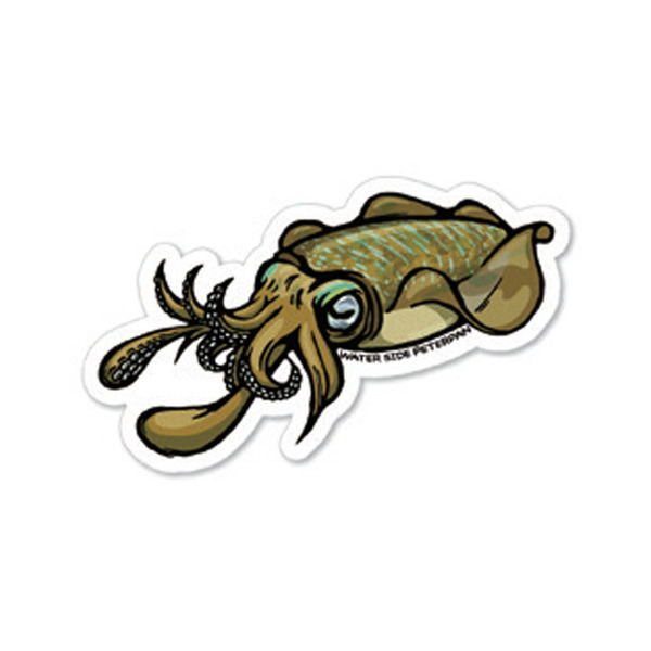 ウォーターサイドピーターパン(WATER SIDE PETERPAN) BIGアオリイカステッカー   ステッカー