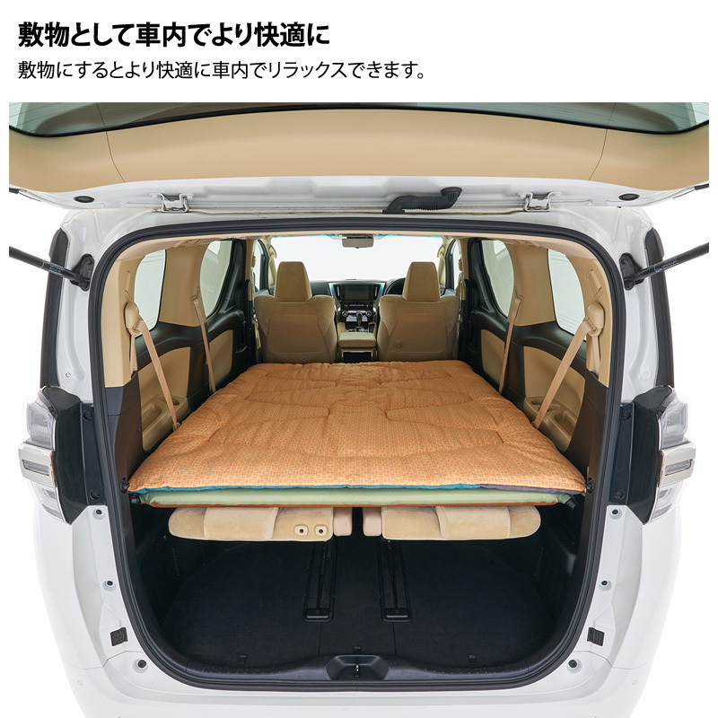 ���S�X(LOGOS) �~�j�o���s�b�^���Q�ܥ-2 BD