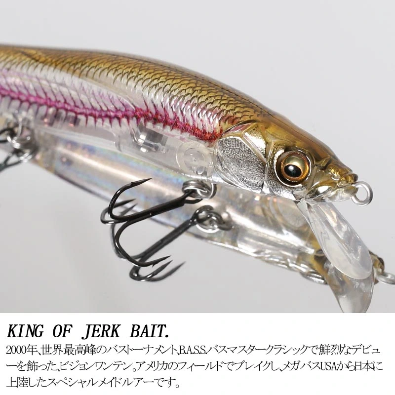 キャンプ＆フィッシングの付録:再販！メガバス ビジョンワンテン 限定