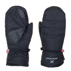 【送料無料】extremities（エクストリミティーズ） 【２３秋冬】ＰＡＲＡＤＯＸ ＷＡＴＥＲＰＲＯＯＦ ＭＩＴＴ（パラドックスウォータープルーフミット） Ｌ ＢＬＡＣＫ 21PDWM