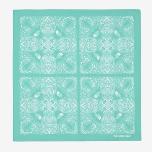 ザ・ノース・フェイス その他雑貨・小物 【24春夏】GEODOME PAISLEY BANDANA(ジオドーム ペイズリー バンダナ) ONE SIZE ガイザーアク