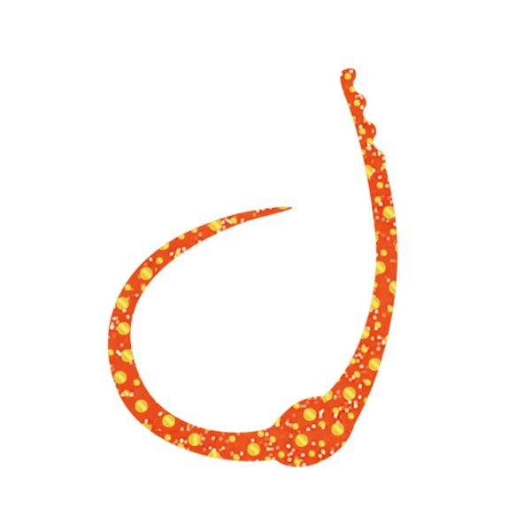 ささラボ シングルコブラカーリー   タイラバネクタイ･トレーラー