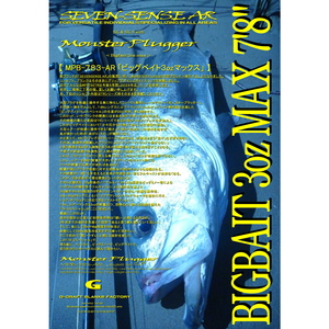 ダイワ(Daiwa) ブラックレーベル SG 681MH/MFB 05807006｜アウトドア