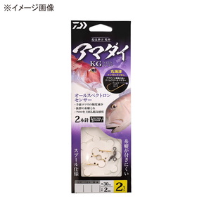 ダイワ(Daiwa) 船仕掛け 天秤 アマダイKG 丸海津ケン付 07355556