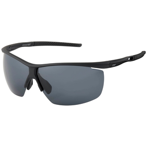 ダイワ(Daiwa) DN-8025 トリアセテート 偏光グラス 08390511