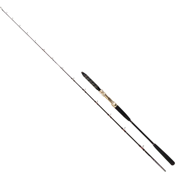 船匠(センショウ) ハイパー落とし込みライト RS200(2ピース)   イカダ竿･落とし込み竿