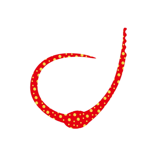 ささラボ キングコブラ シングルカーリー KCSC-01 タイラバネクタイ･トレーラー