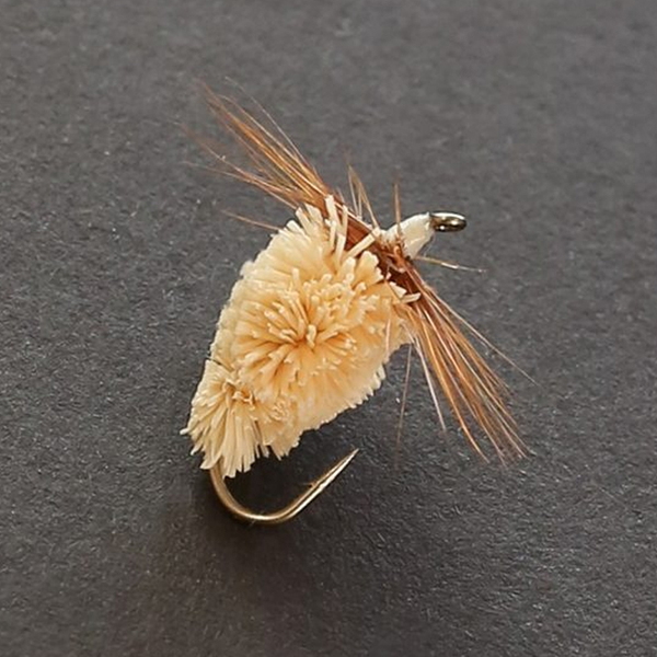 てんから兄弟 てんから毛ばり カメムシ