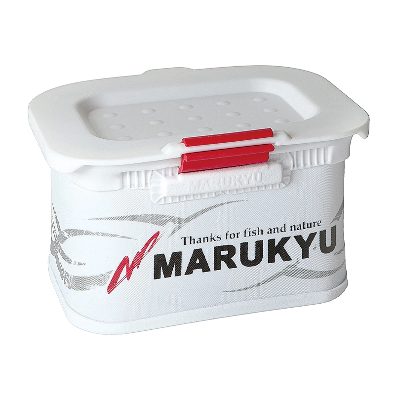 }L[(MARUKYU) p[GToPbg 13TR IV Cނ