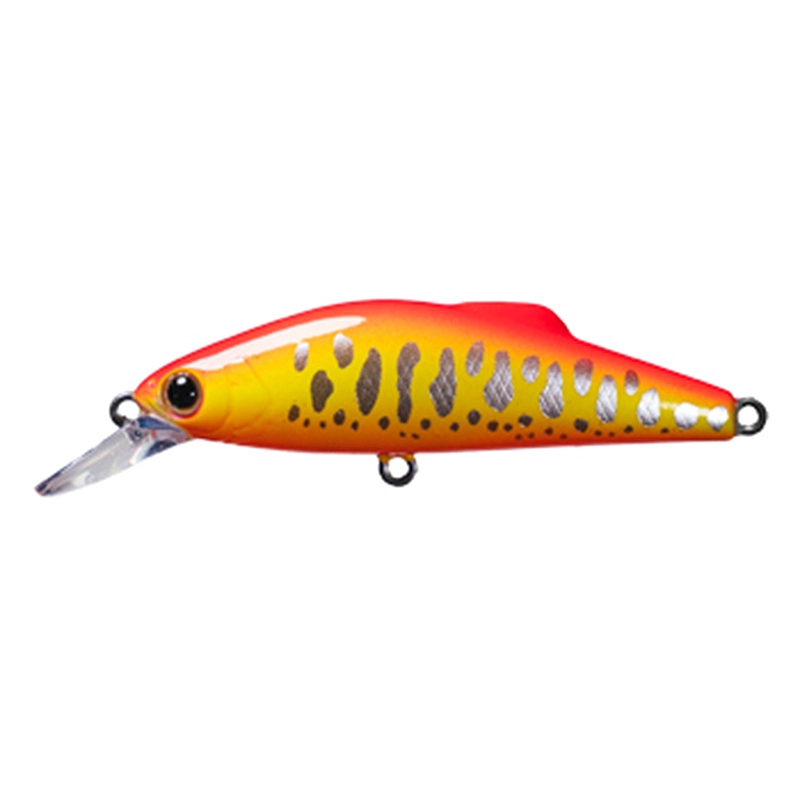 �^�b�N���n�E�X(TACKLE HOUSE) Buffet F50 FC ���A�[