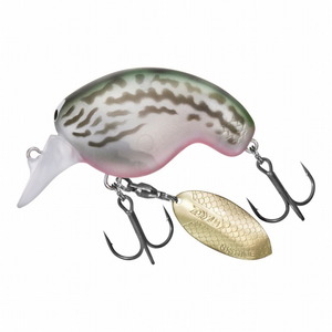 ダイワ(Daiwa) (予約7月入荷)ふくピカ 07438099