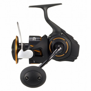 ダイワ(Daiwa) (予約10月発売)26BG SW6000-P  