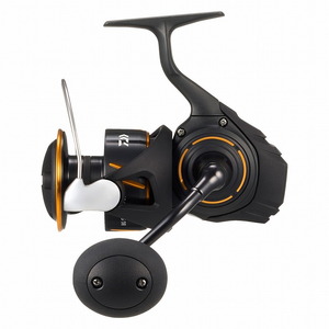 ダイワ(Daiwa) (予約10月発売)26BG SW6000-H  