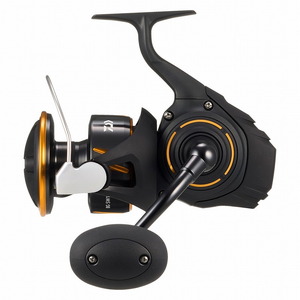 ダイワ(Daiwa) (予約10月発売)26BG SW10000-H  