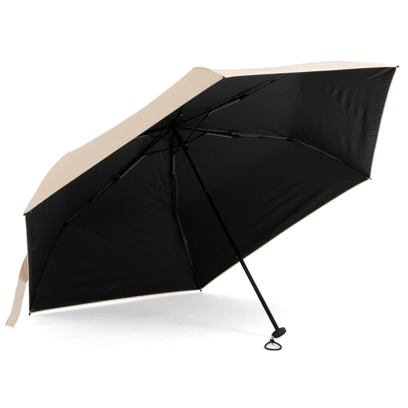 LveX^bO(CAPTAIN STAG) CSprotect Jp܏ݎP蓮 tB[hMA