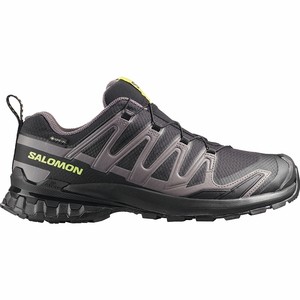 SALOMON(サロモン) XA PRO 3D V9 GORE-TEX(XA プロ 3D V9 ゴアテックス) L47987300 トレランシューズ ローカット