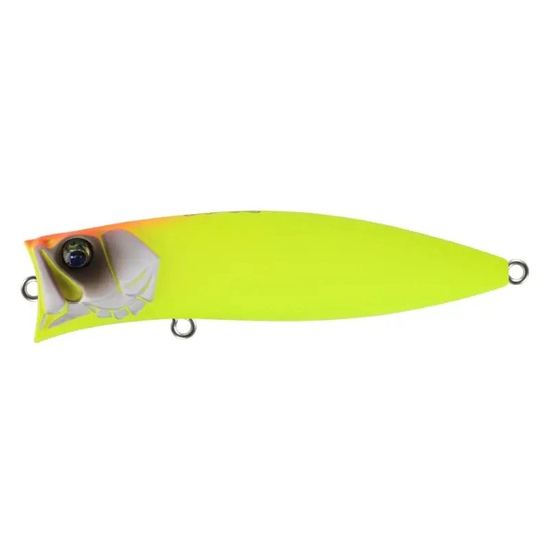 �o�X�f�C(Bassday) �n�[�f�X 75F ���A�[