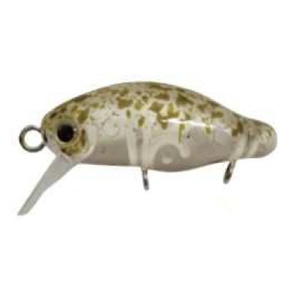 スミス(SMITH LTD) カディス  